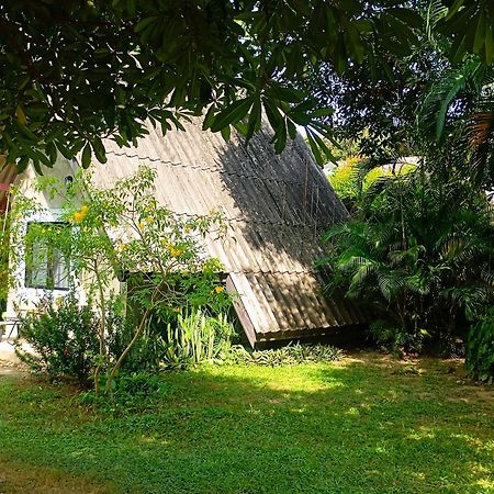 Cashewnut Tree Resort Ко-Ланта Экстерьер фото